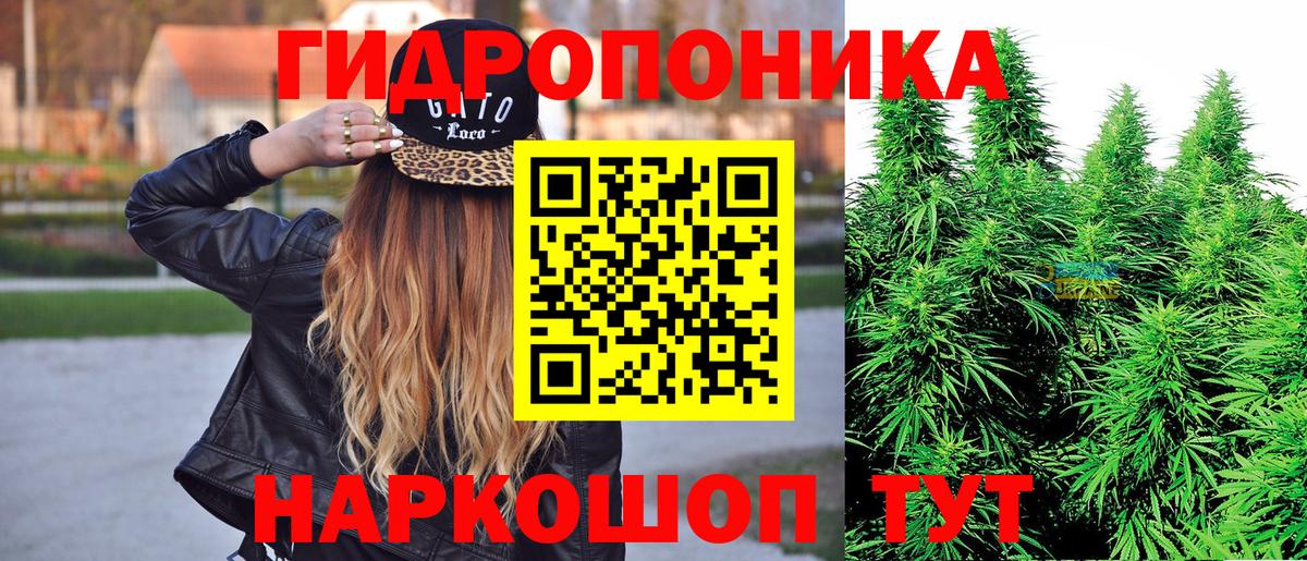 Конопля Amnesia Кимры